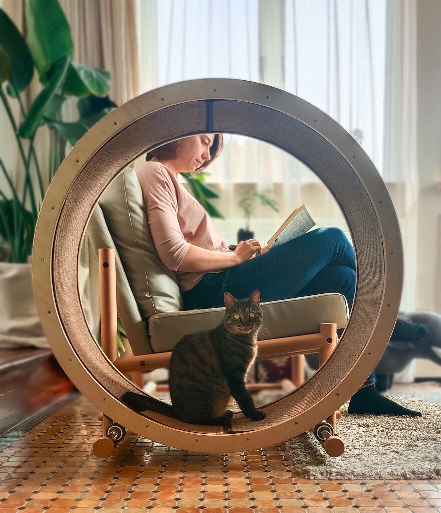 A Chair With An Integrated Running Wheel Was Invented For Cat Lovers A Chair With An Integrated Running Wheel Was Invented For Cat Lovers