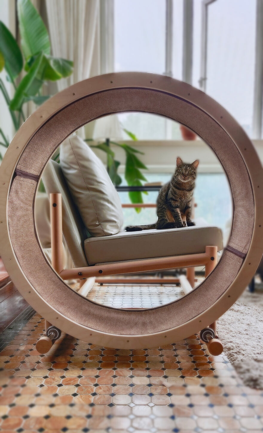 A Chair With An Integrated Running Wheel Was Invented For Cat Lovers
