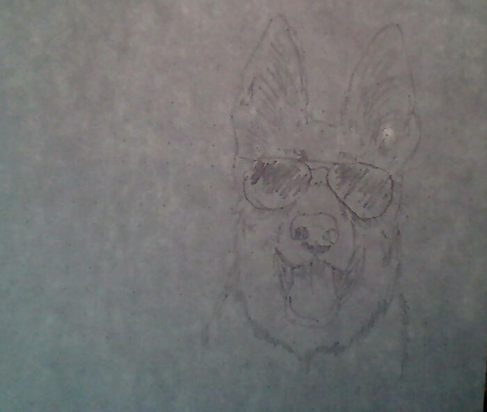When You Draw A Dog, And You Liked What It Looked Like, So You Took A Picture, And The Dog Blurred
