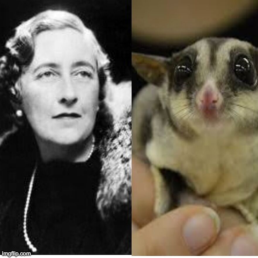 I Compared The Heights Of Famous Writers With Animals