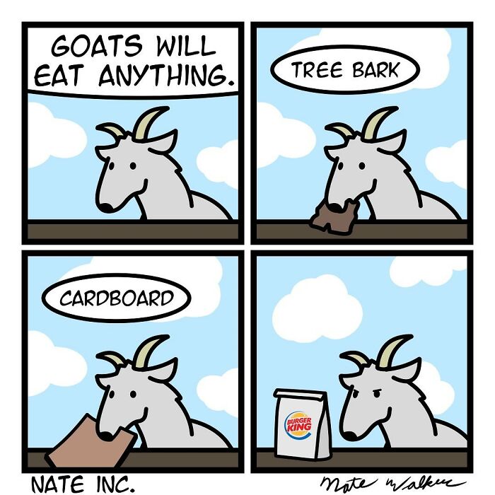 I Started Making Comics With No Experience In Drawing, 5 Years Later Here Are The Results