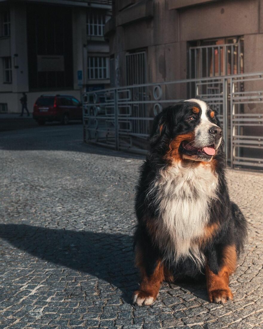 I Spend 15 Days In The Most Dangerous Country In The World, Spoiler Alert Is Not.