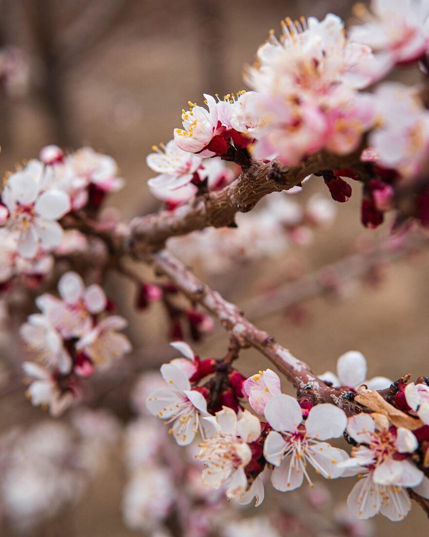 I Spend 15 Days In The Most Dangerous Country In The World, Spoiler Alert Is Not.