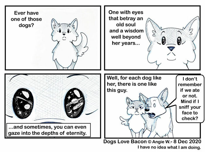 Comic panels showing relatable moments with adopted dogs featuring soulful eyes and quirky dog behaviors about life with two adopted dogs.
