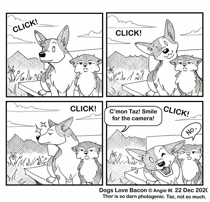 Black and white comic strip showing two adopted dogs with contrasting expressions during a photo session about rescue tales.