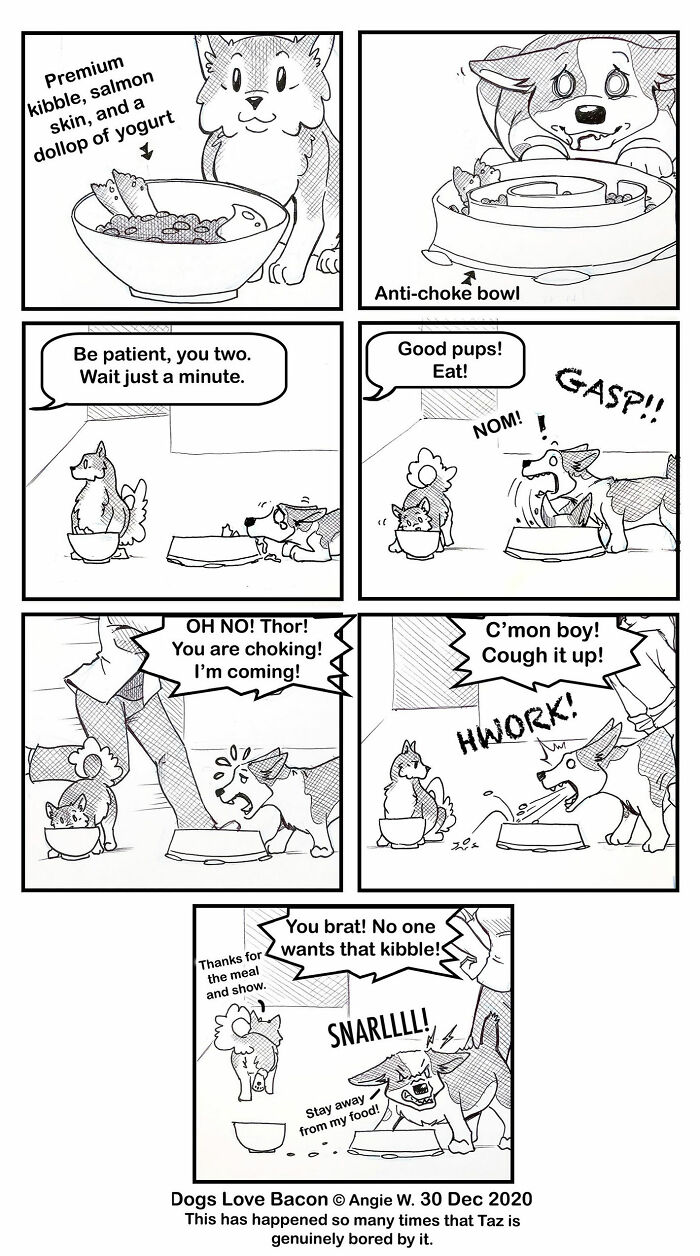 Comic strip showing two adopted dogs eating from bowls, highlighting relatable rescue dog life moments and behaviors.