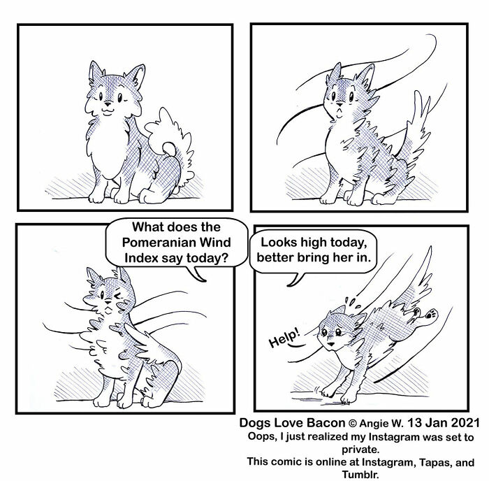 Comic strip featuring a Pomeranian dog reacting to wind, illustrating relatable life with adopted dogs.