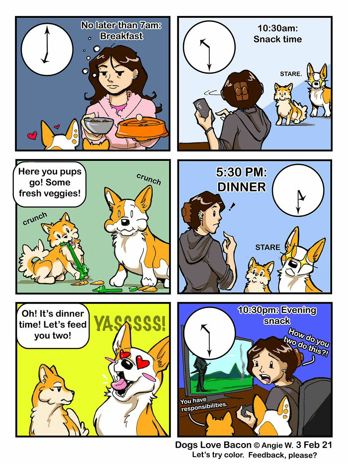 Woman feeding and caring for two adopted dogs throughout the day in relatable rescue tales comic panels.