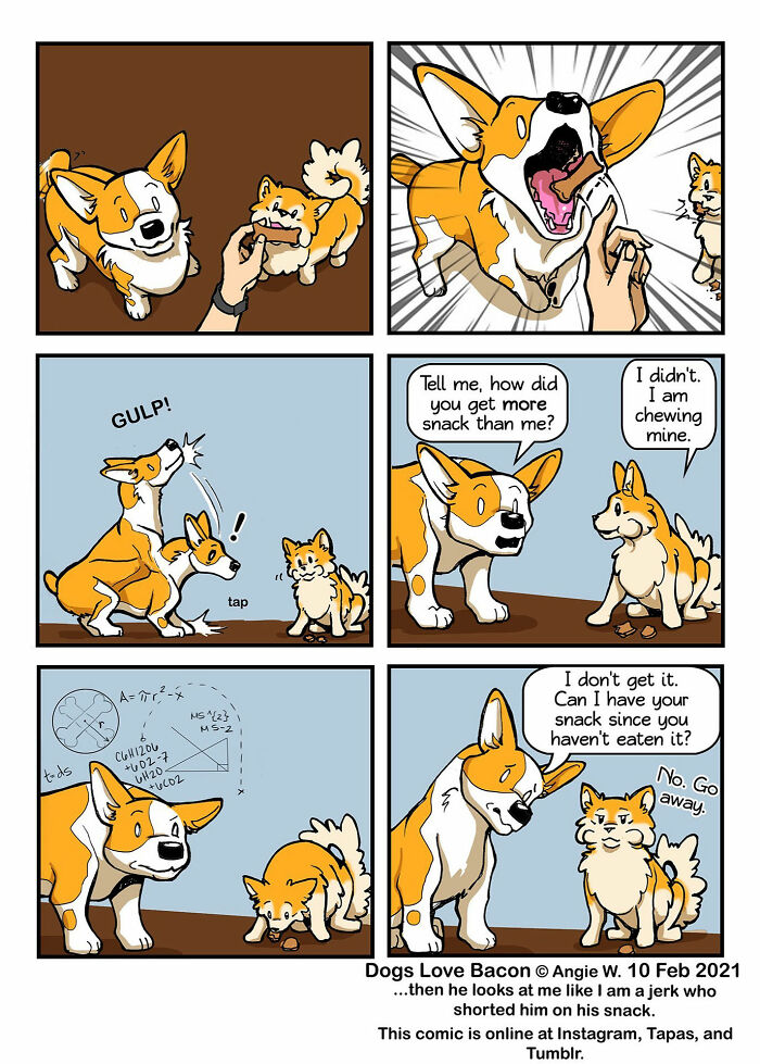Two adopted dogs in a comic strip showing funny relatable moments about life with rescue dogs and snacks.