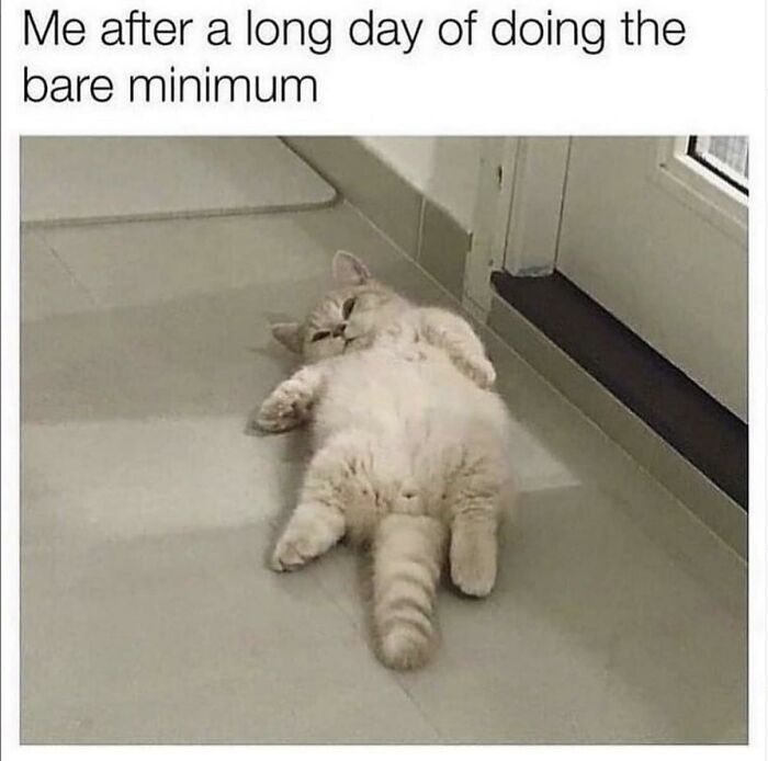 I've Definitely Earned A Nap