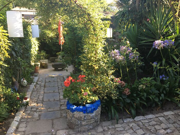 This Was A 110 Years Old Garbage Dump 5 Years Ago,overgrown With Brambles And Nettles