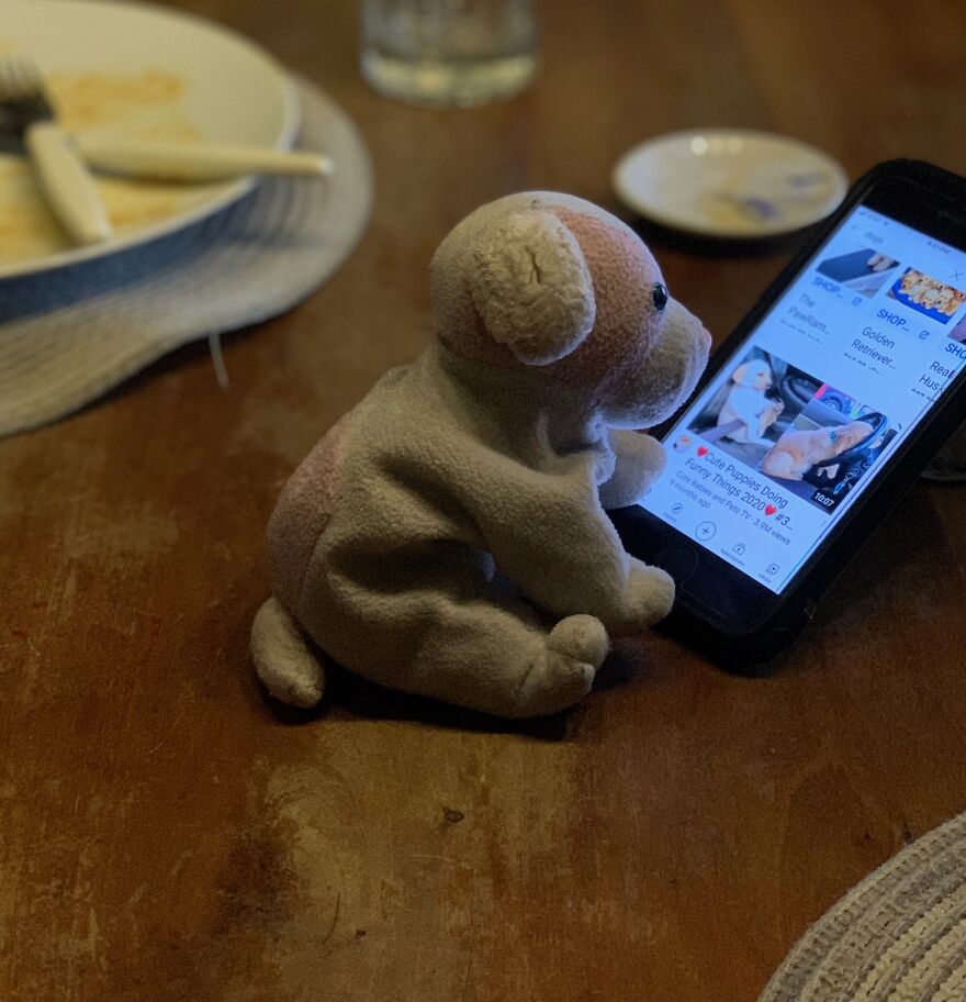 We Watched Some Funny Videos On Youtube