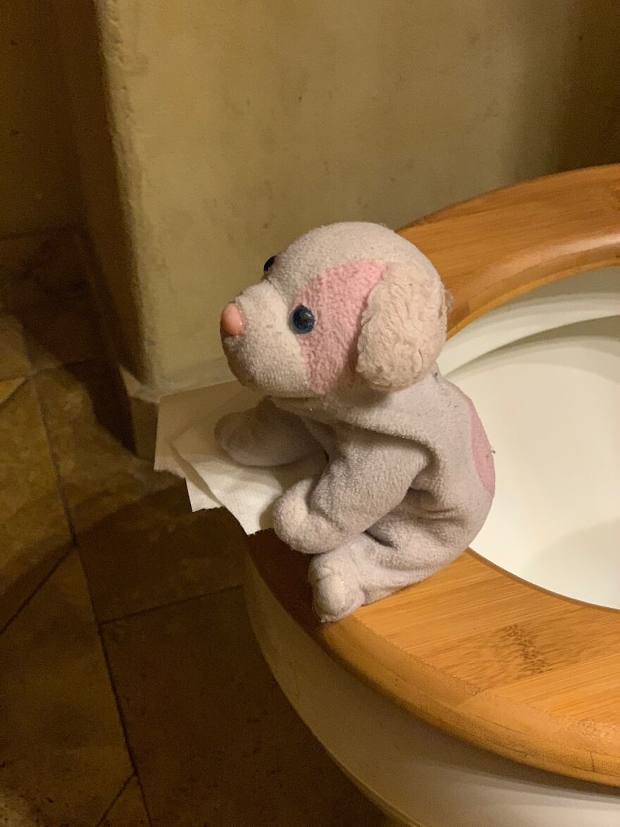 We Also Did All Of The Usual Things A Good Boy Does Before Going To Bed