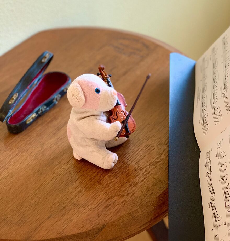 Violin Practice Day