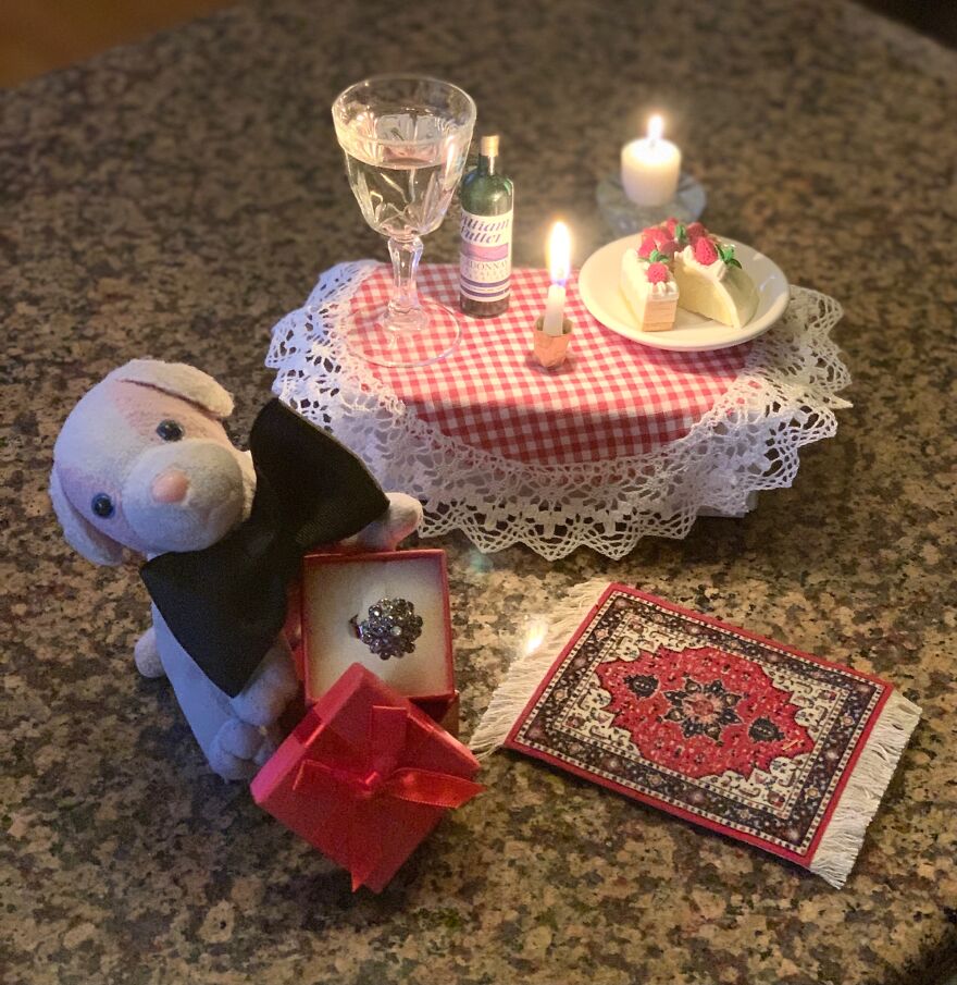 Cagnolino Must Be In Love...?