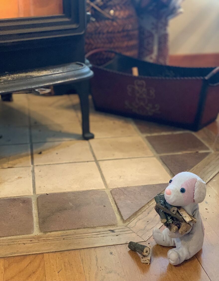 Gathering Wood For The Stove Is A Good Little Boy's Job
