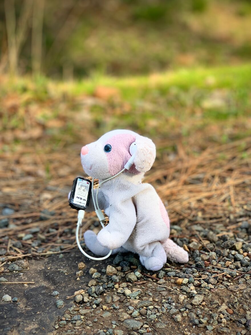 Perfect Day For A Jog