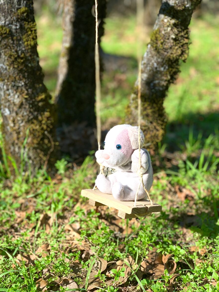 Swing Happily Little Boy!