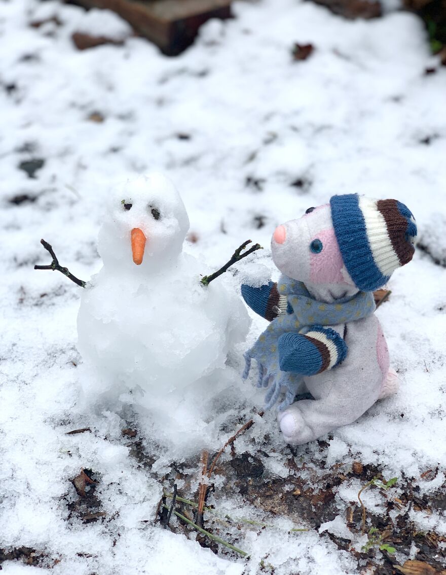 Remember That Day We Finally Had Enough Snow To Play With?