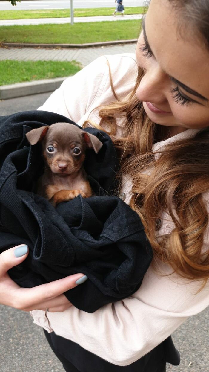 That Day We Took Home Our New Family Member!