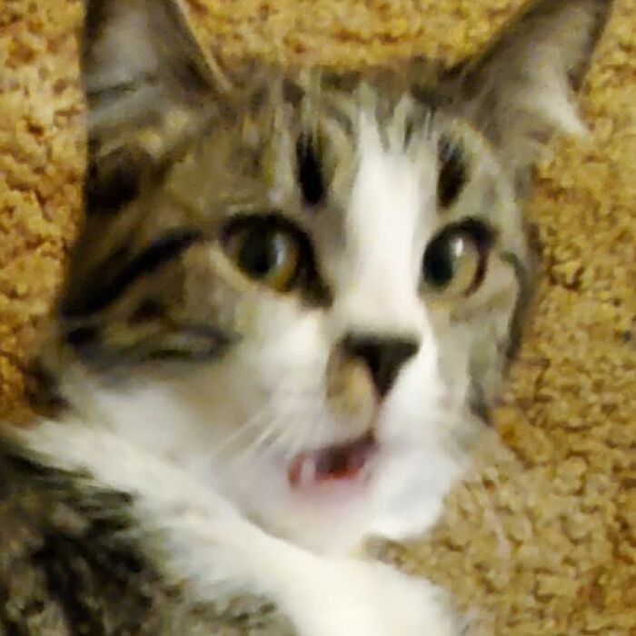 When You See Someone Cough During Covid