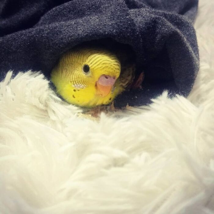 June Having A Cosy Night In