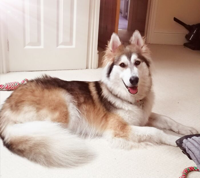 I Like Making Eye Contact With My Mum.