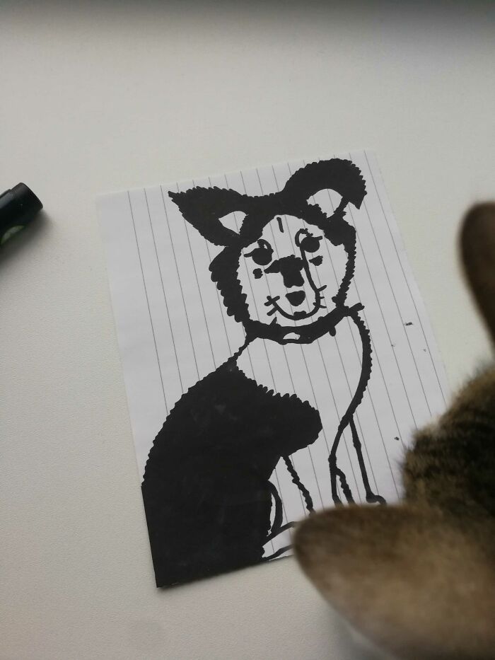 I Ran Out Of Paper In The Butt/Tail Area, But My Cat Approves, Says It Tastes Okay