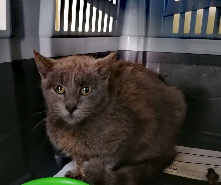 Ashley & Larry.
two Little Friends That Fight For Their Lives!