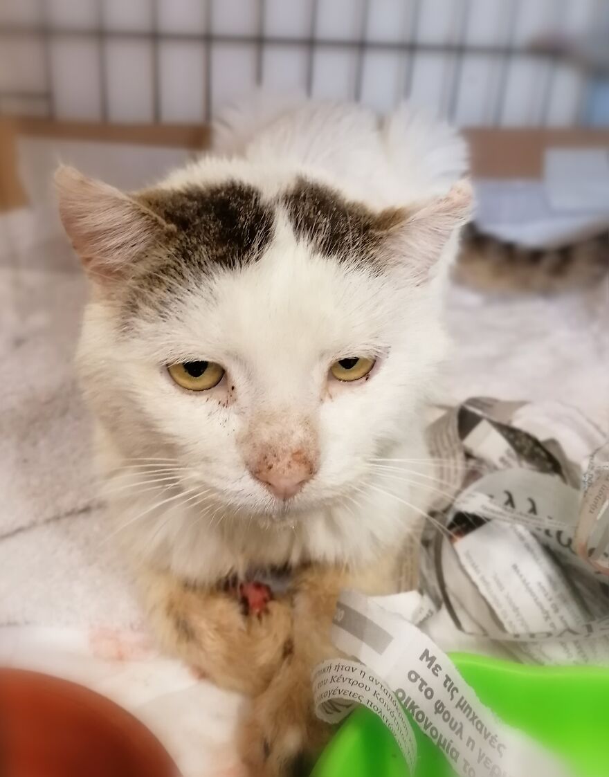 Ashley & Larry.
two Little Friends That Fight For Their Lives!