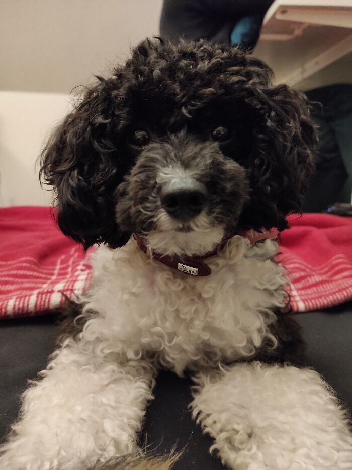 She Looooves To Cuddle.