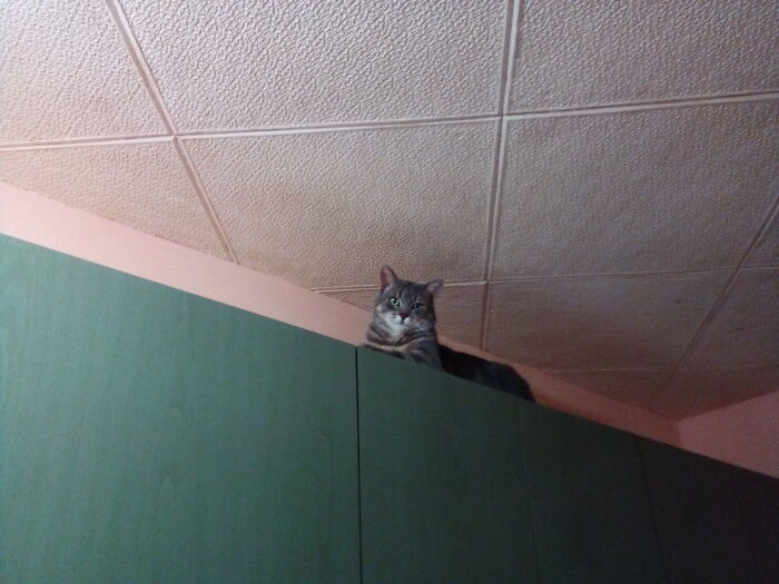 The Ground Is Beneath Him, Apparently