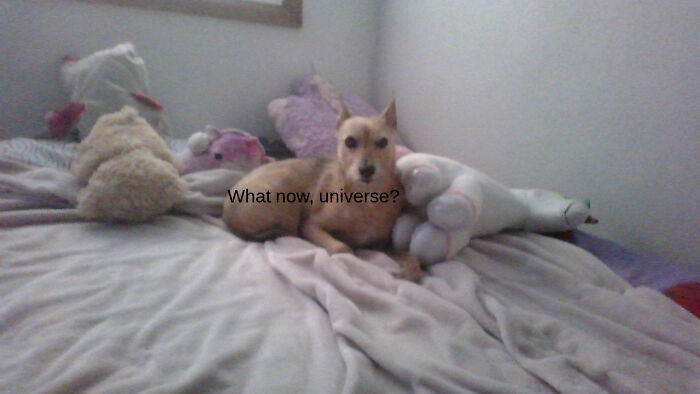 When You Just Wanna Be Alone And Your Mom Comes Into Your Room With Bad News: