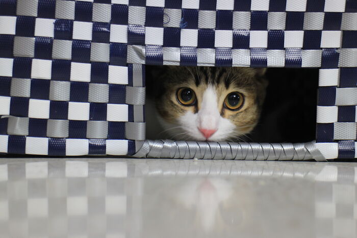 Bing Bing Looks Adorably In Her Hide 'N' Seek