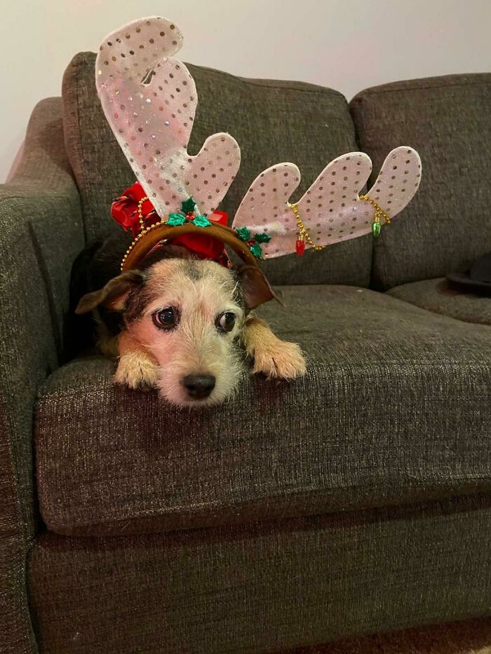 She Was Not Amused With My Ex This Past Christmas