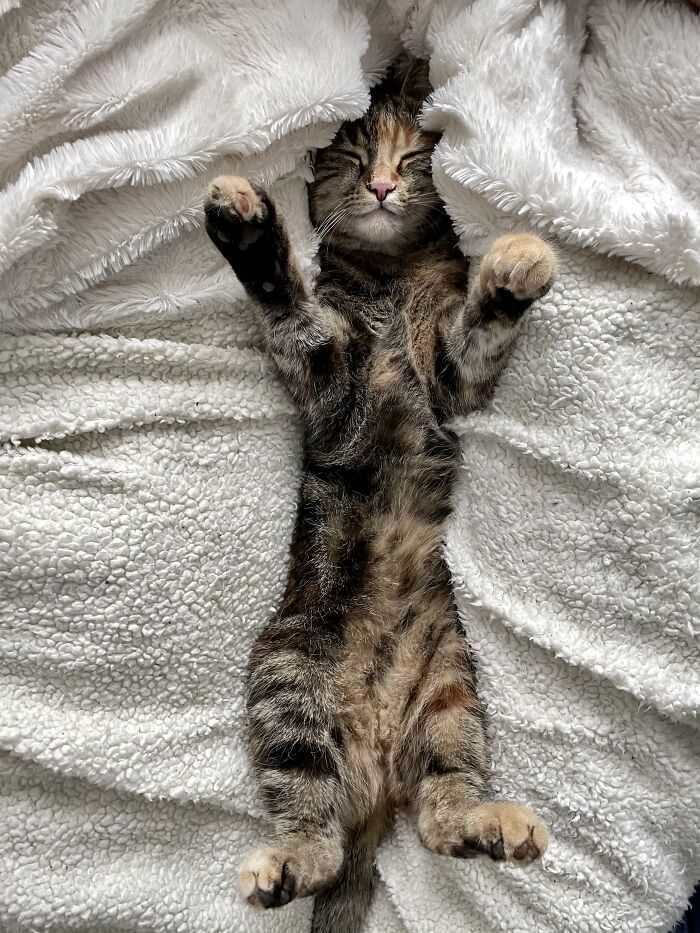 ... And On Sundays We Do Nothing