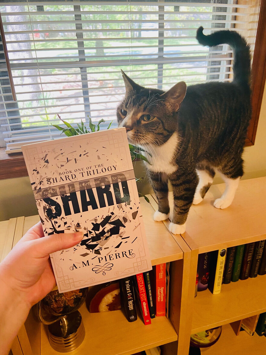 I'm Giving Away Free E-Book Copies Of My First Book To My Fellow Pandas!