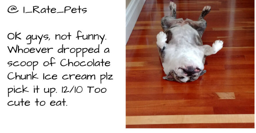 @ I_rate_pets, We Rate Whatever You Send.