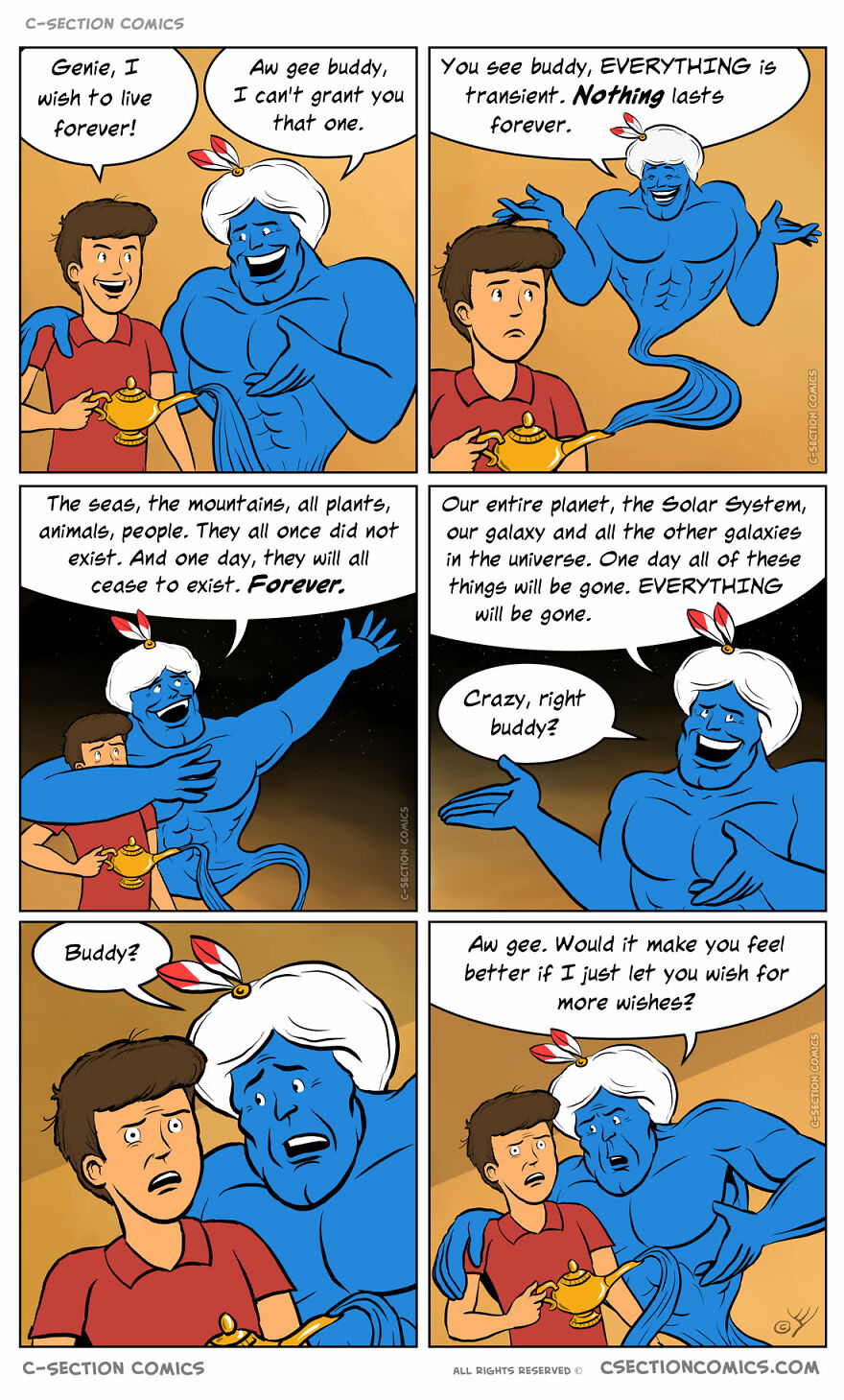 Funny-Idan-Schneider-C-Section-Comics