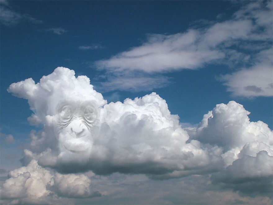 If You See Figures In Clouds, You Need To Know The Creativity Of These Artists