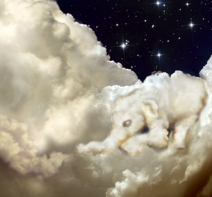 If You See Figures In Clouds, You Need To Know The Creativity Of These Artists