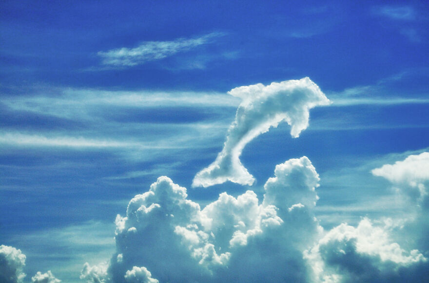 If You See Figures In Clouds, You Need To Know The Creativity Of These Artists
