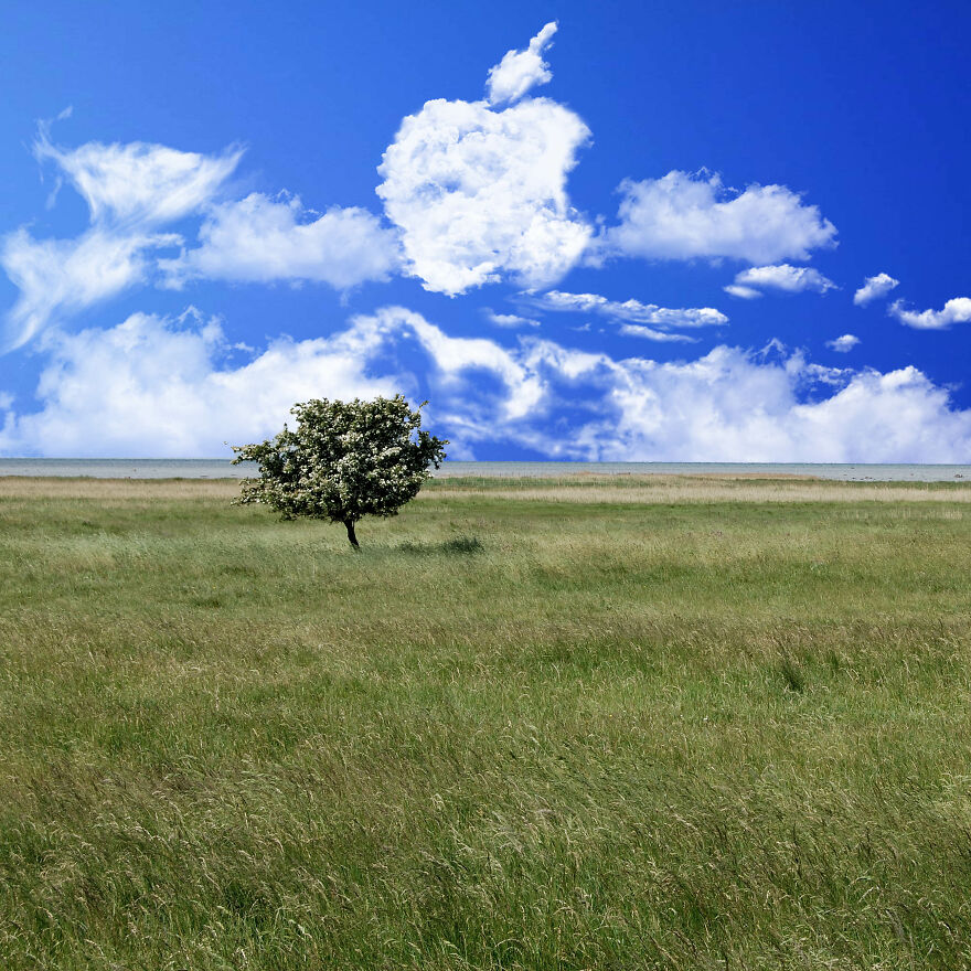 If You See Figures In Clouds, You Need To Know The Creativity Of These Artists