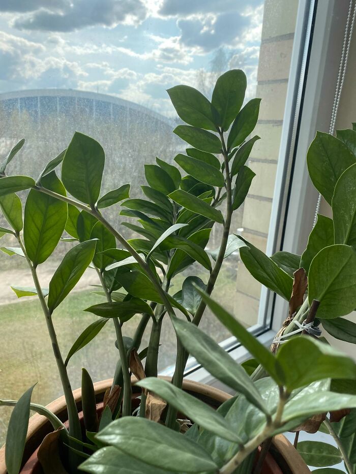 It Was There When I Moved In So I Guess I Have To Take Care Of It