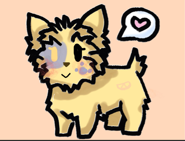 I Made My Oc As A Yorkie