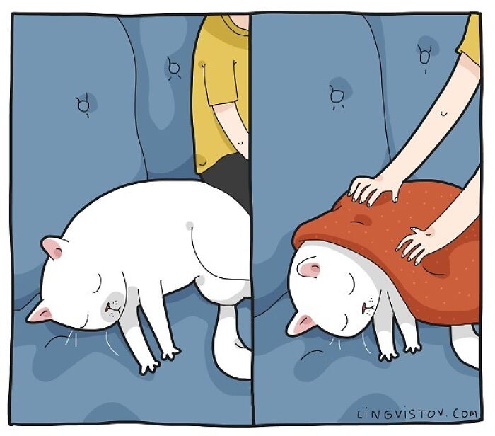 Lingvistov Comics Shows What It's Like To Live With A Cat Daily (New Pics)