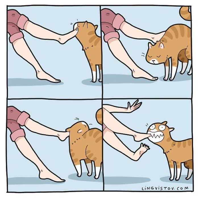 Lingvistov Comics Shows What It's Like To Live With A Cat Daily (New Pics)