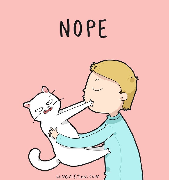 Lingvistov Comics Shows What It's Like To Live With A Cat Daily (New Pics)