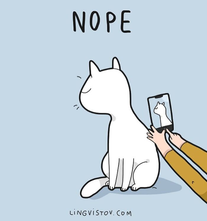 Lingvistov Comics Shows What It's Like To Live With A Cat Daily (New Pics)