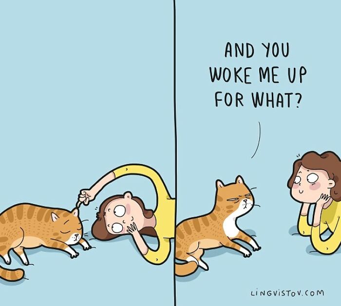 Lingvistov Comics Shows What It's Like To Live With A Cat Daily (New Pics)